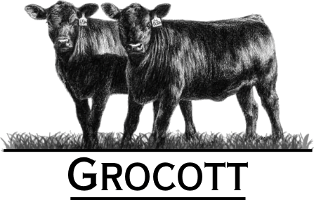 Grocott